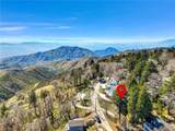 31920 Pine Cone Drive - Photo 48