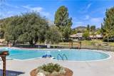 26824 Circle Of The Oaks - Photo 36
