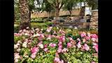 23799 Cahuilla Court - Photo 4