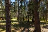 36333 Finegold Creek - Photo 48