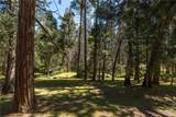 36333 Finegold Creek - Photo 49