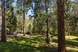 36333 Finegold Creek - Photo 50