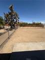 58520 Paxton - Photo 5