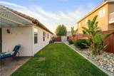 31955 Avenida Mallari - Photo 12