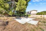 3680 Alamo - Photo 13
