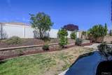 30756 Olympia Rose Drive - Photo 25