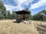 34914 Sneezeweed Lane - Photo 47