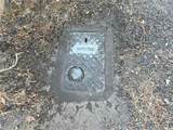 30778 Live Oak - Photo 3