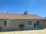 37647 Hammer - Photo 23