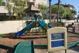 3525 Paseo De Elenita - Photo 27