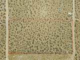 0 Bellflower - Photo 17