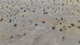 0 Yermo - Photo 14