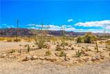 6597 Mesquite Springs - Photo 35