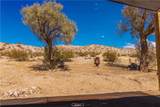 6597 Mesquite Springs - Photo 39