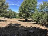  Harrison Park - Photo 1