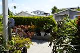 1815 Sweetwater - Photo 40