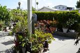 1815 Sweetwater - Photo 7