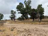 45051 Bonny - Photo 24