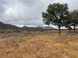 45051 Bonny - Photo 27