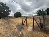 45051 Bonny - Photo 34
