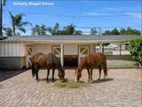 1315 Valleyheart - Photo 1