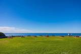 33442 Abalone Drive - Photo 41