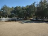 1116 Rolling Oaks Drive - Photo 4