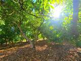 43605 Los Gatos - Photo 35
