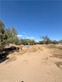 15872 Muscatel - Photo 31