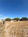 15872 Muscatel - Photo 32