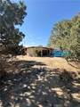 15872 Muscatel - Photo 7