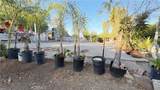 21751 Rogers - Photo 10