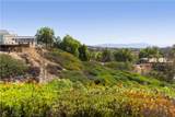 38642 Via Amarilla - Photo 54