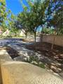 31141 Black Maple - Photo 30