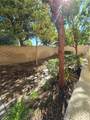 31141 Black Maple - Photo 31