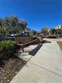 31141 Black Maple - Photo 34