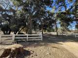 30247 Chihuahua Valley Road - Photo 2