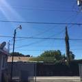 1009 Coast - Photo 5