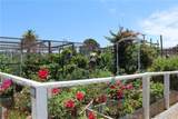 3015 Via Buena Vista - Photo 19