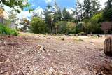 0 Garden - Photo 5