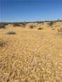 5 Mi N/O Shadow Mt - Photo 1