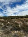 0 Sage & Red Mountain - Photo 14
