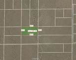 0 Cactus - Photo 1