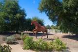 0 Hacienda Dr. - Photo 22