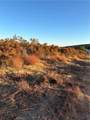 50 Sable - Photo 1