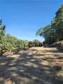 1563 Rock Ridge - Photo 2