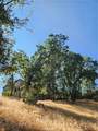 1563 Rock Ridge - Photo 10