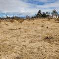 0 Black Mountain - Photo 11