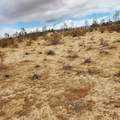 0 Black Mountain - Photo 14