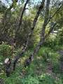 6705 Floyd - Photo 8